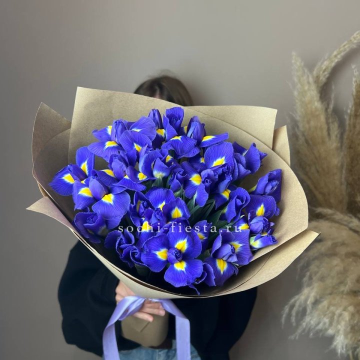 Ирисы в Перми