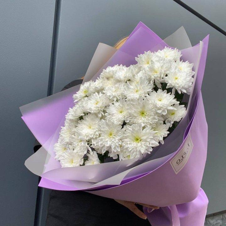  7 хризантем  в Перми