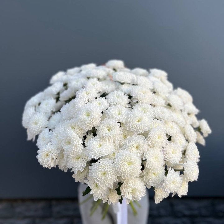  25 хризантем белых в Перми