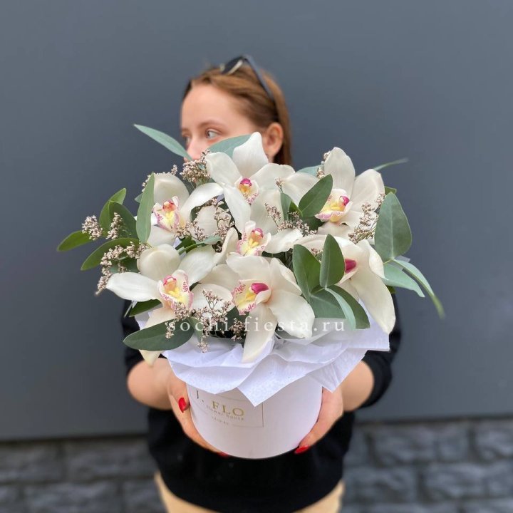 7 орхидей в боксе в Перми