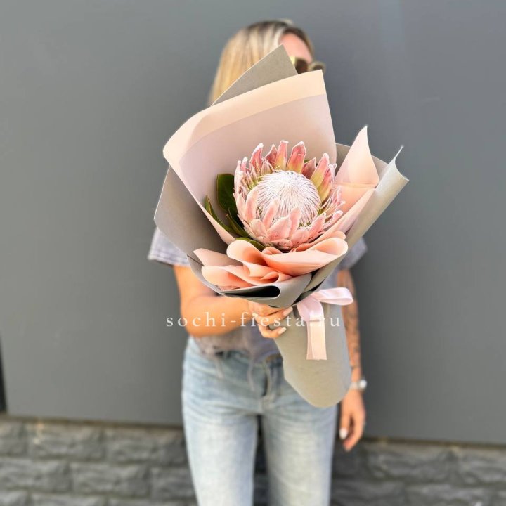 Протея мини  в Перми