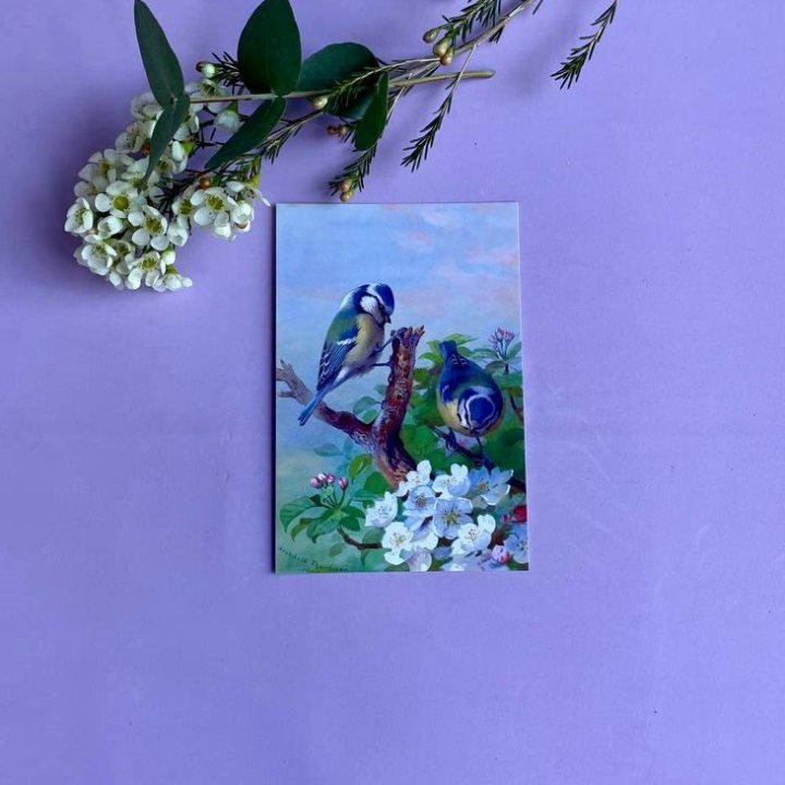 Открытка к букету "Птицы" в Перми