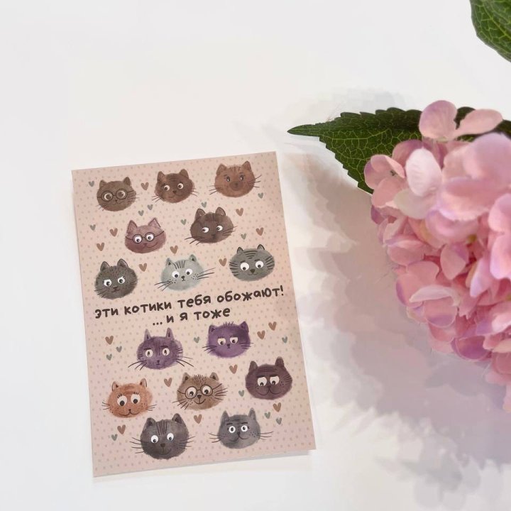 Открытка к букету "Котики" в Перми