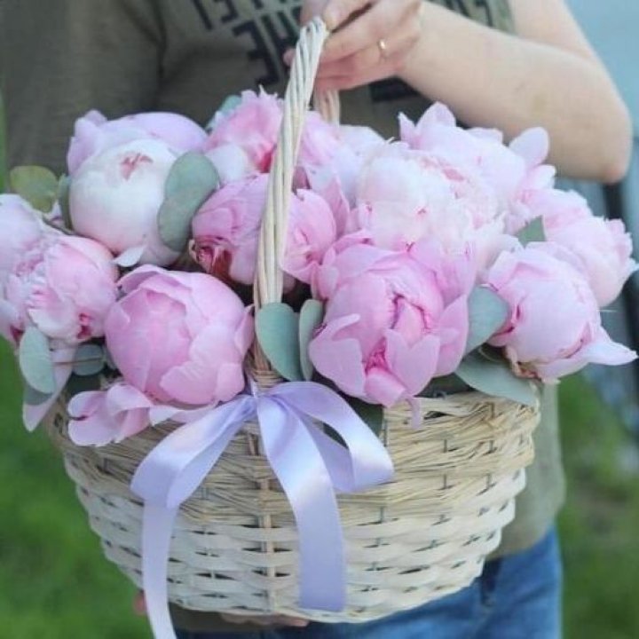 15 пионов в корзине в Перми