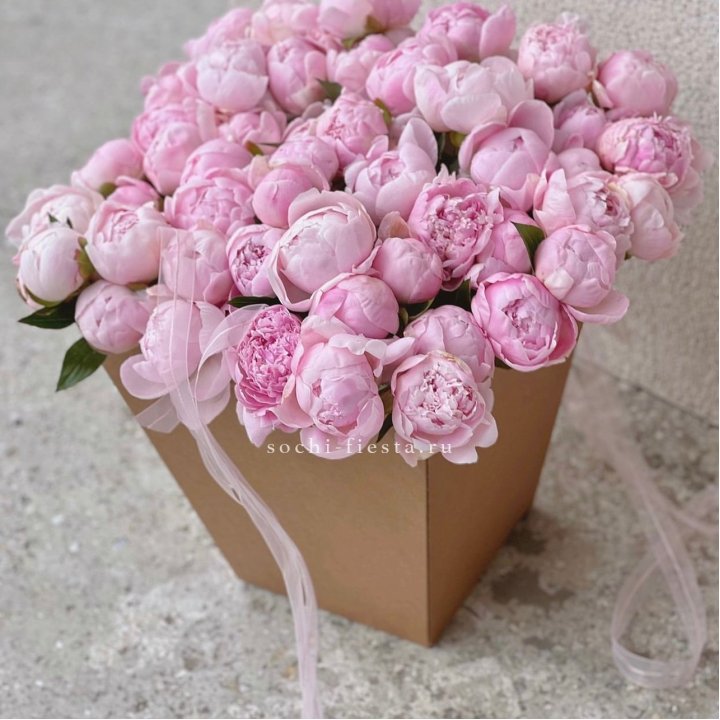 49 пионов в крафт коробке в Перми