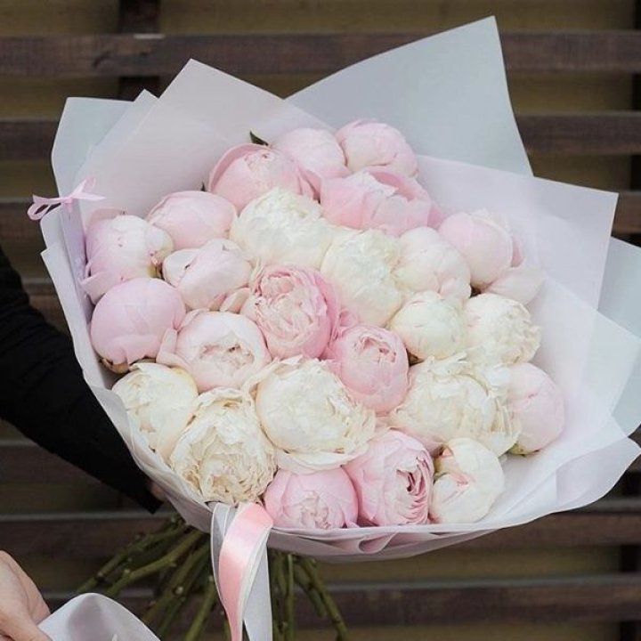 29 пионов в Перми