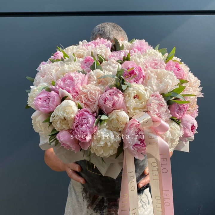 51 пионов в боксе в Перми