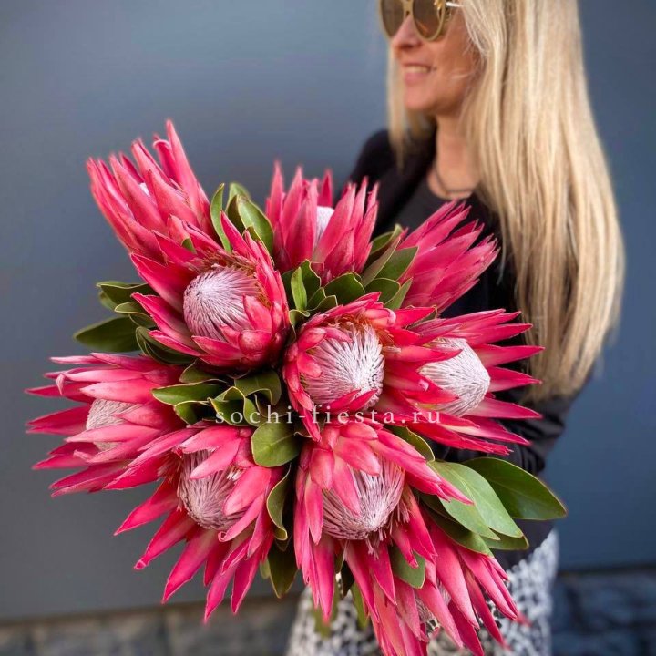 Протея штучно в Перми