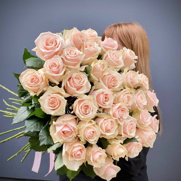 35 кремовых высоких роз в Перми