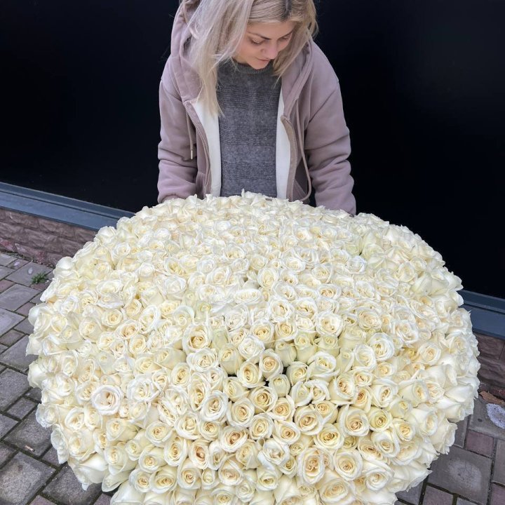 501 белая роза в корзине в Перми