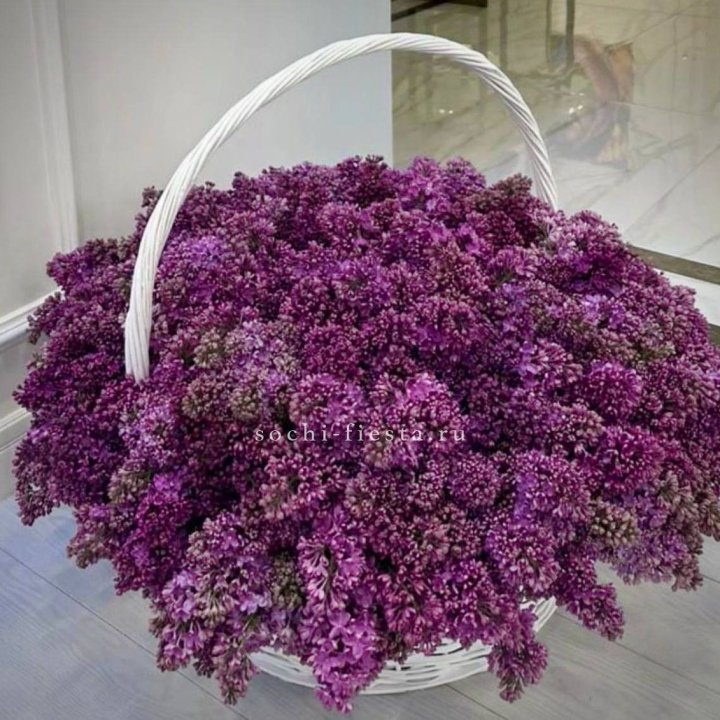 Корзина сирени в Перми