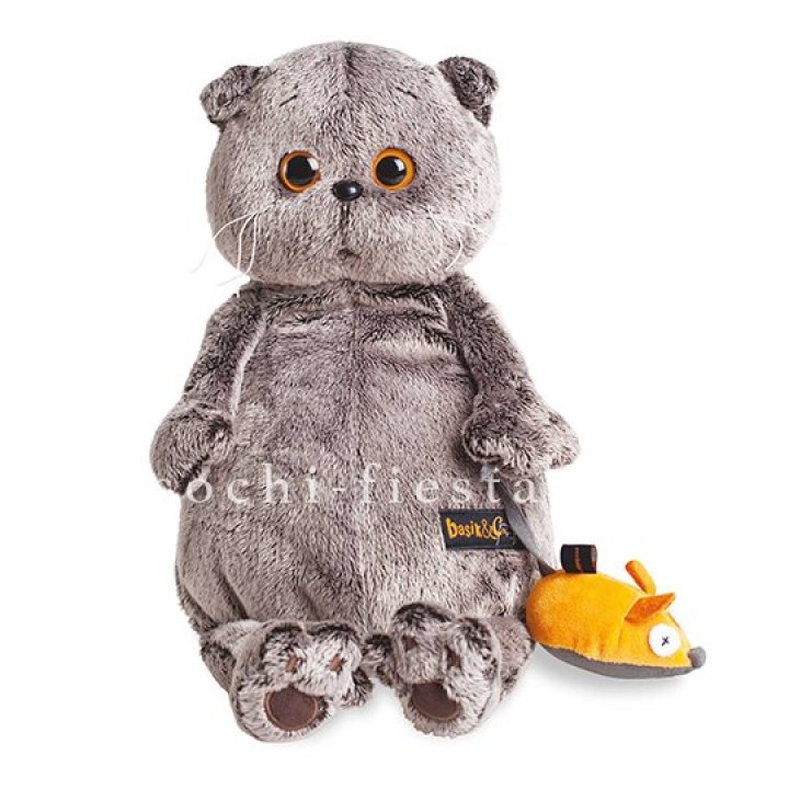 Кот Басик с мышкой в Перми