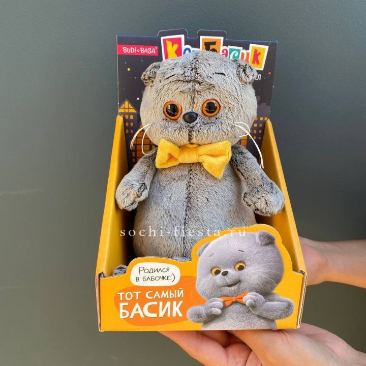 Кот Басик с бабочкой в Перми