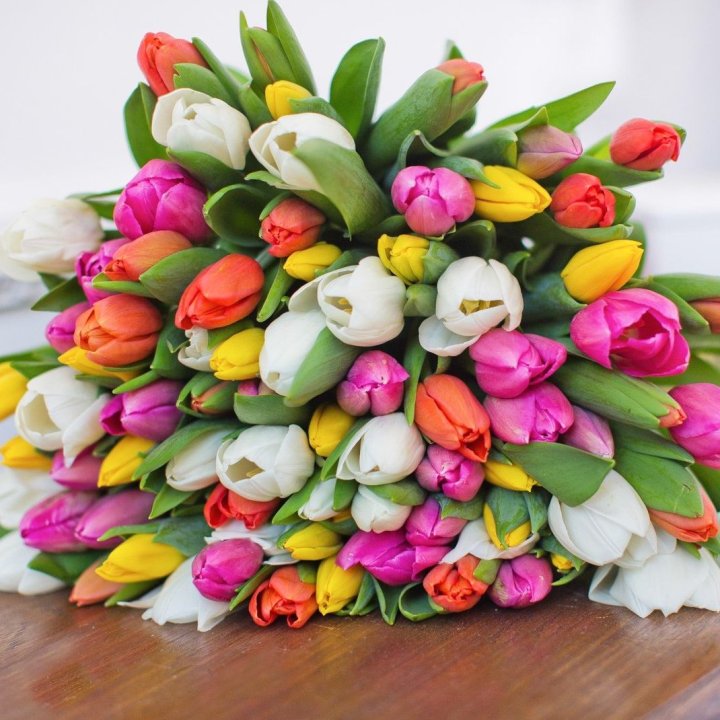 79 тюльпанов "Рандом" в Перми