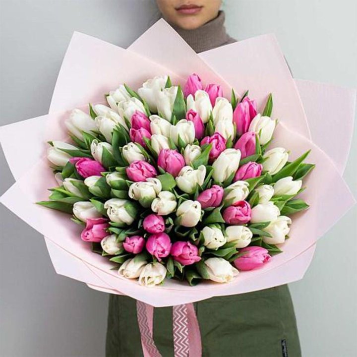 61 бело-розовый тюльпан в Перми