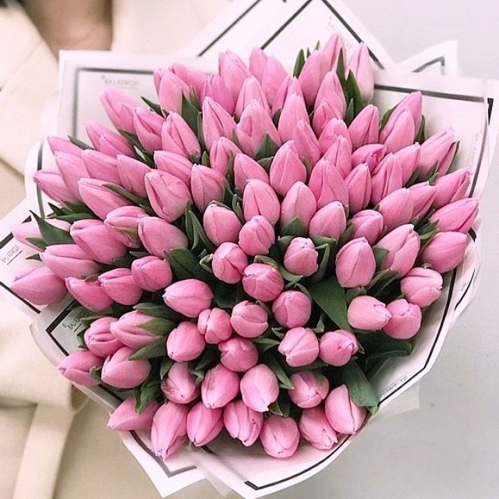 101 розовый тюльпан в белом в Перми