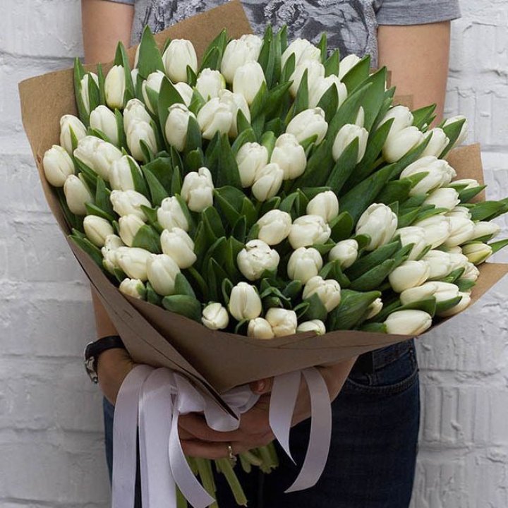 101 тюльпан сноу в Перми