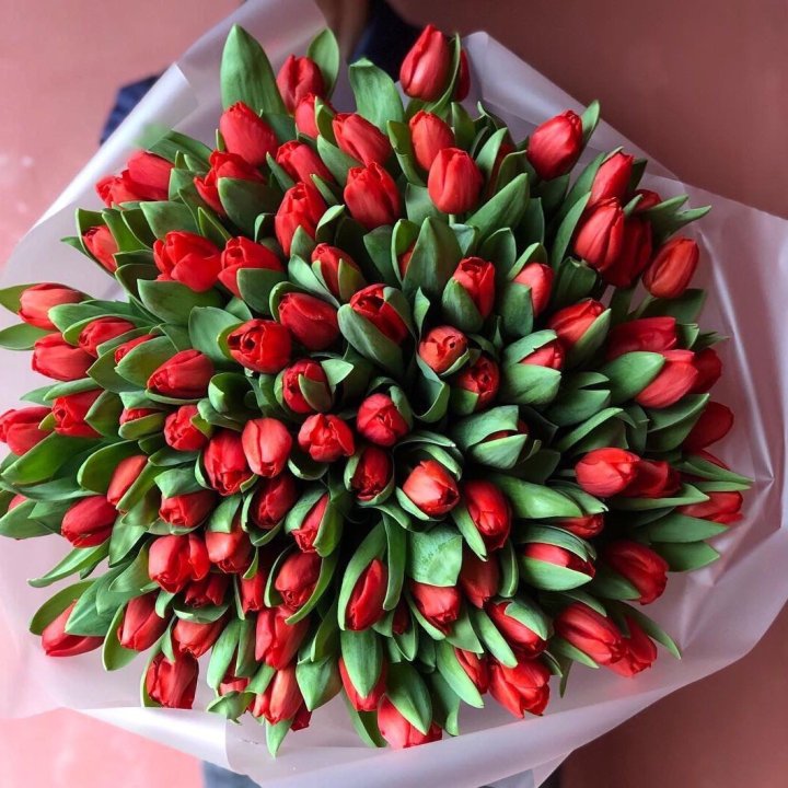 101 красный тюльпан в Перми